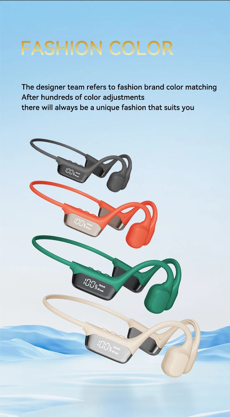 WaterBone Earbuds